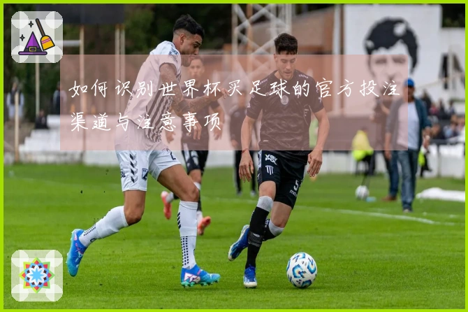如何识别世界杯买足球的官方投注渠道与注意事项