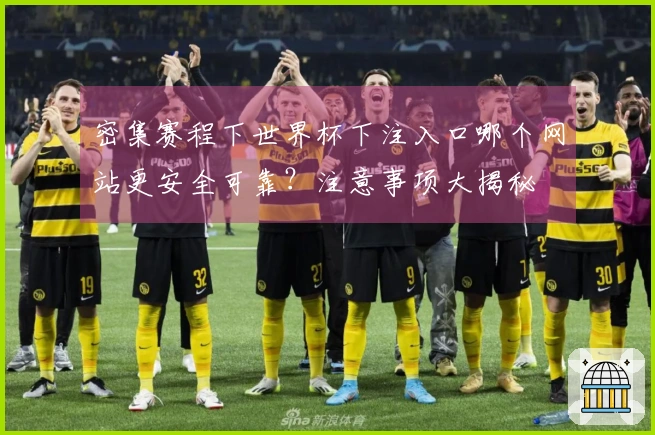 密集赛程下世界杯下注入口哪个网站更安全可靠？注意事项大揭秘