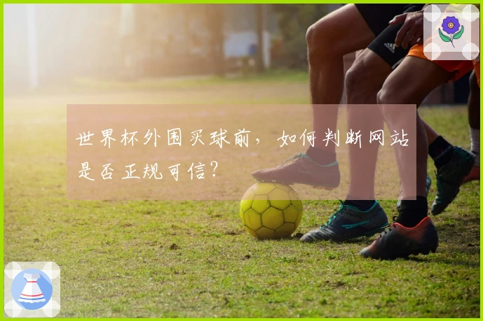 世界杯外围买球前，如何判断网站是否正规可信？
