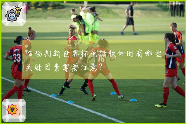 临场判断世界杯竞猜软件时有哪些关键因素需要注意？