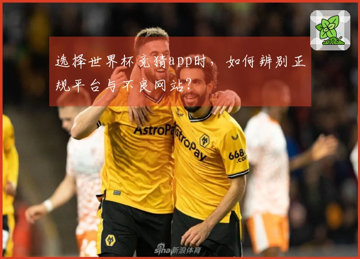 选择世界杯竞猜app时，如何辨别正规平台与不良网站？