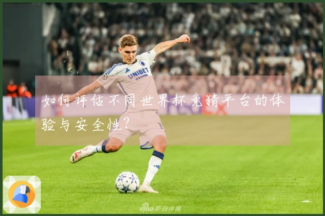 如何评估不同世界杯竞猜平台的体验与安全性？