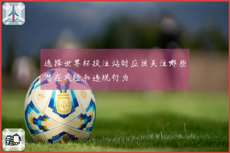 选择世界杯投注站时应该关注哪些潜在风险和违规行为