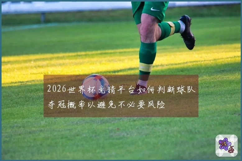 2026世界杯竞猜平台如何判断球队夺冠概率以避免不必要风险