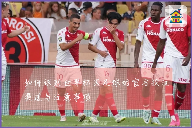 如何识别世界杯买足球的官方投注渠道与注意事项