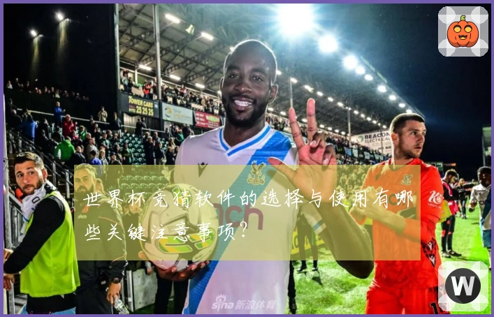 世界杯竞猜软件的选择与使用有哪些关键注意事项？