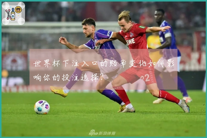 世界杯下注入口的赔率变化如何影响你的投注选择？
