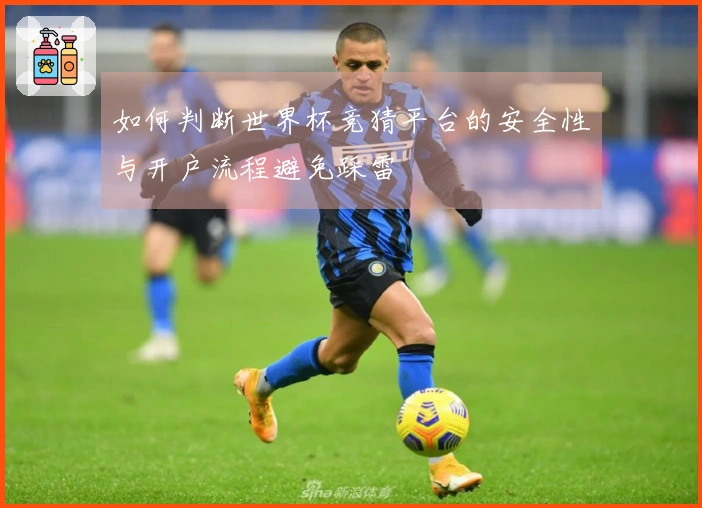 如何判断世界杯竞猜平台的安全性与开户流程避免踩雷