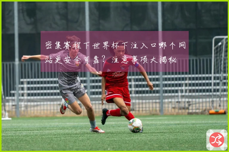 密集赛程下世界杯下注入口哪个网站更安全可靠？注意事项大揭秘