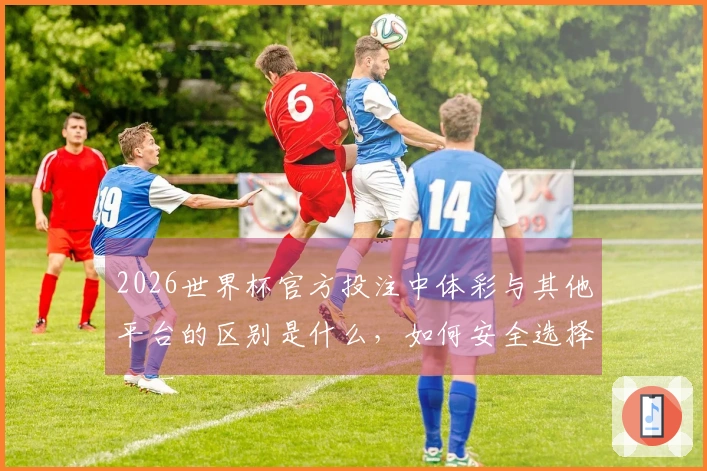 2026世界杯官方投注中体彩与其他平台的区别是什么，如何安全选择？