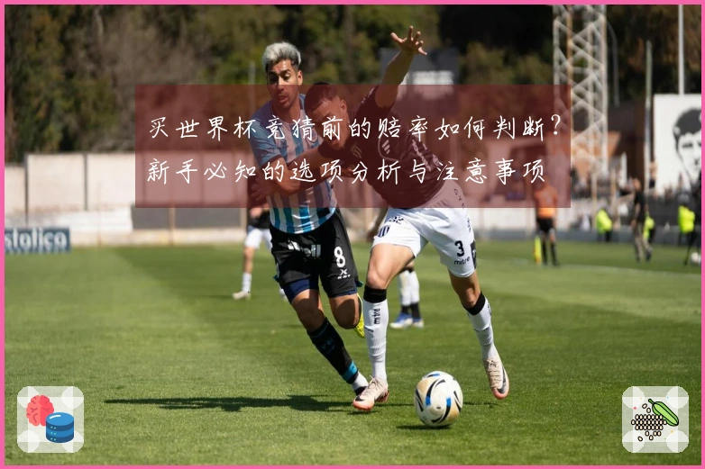 买世界杯竞猜前的赔率如何判断？新手必知的选项分析与注意事项