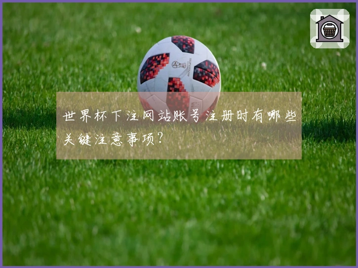 世界杯下注网站账号注册时有哪些关键注意事项？