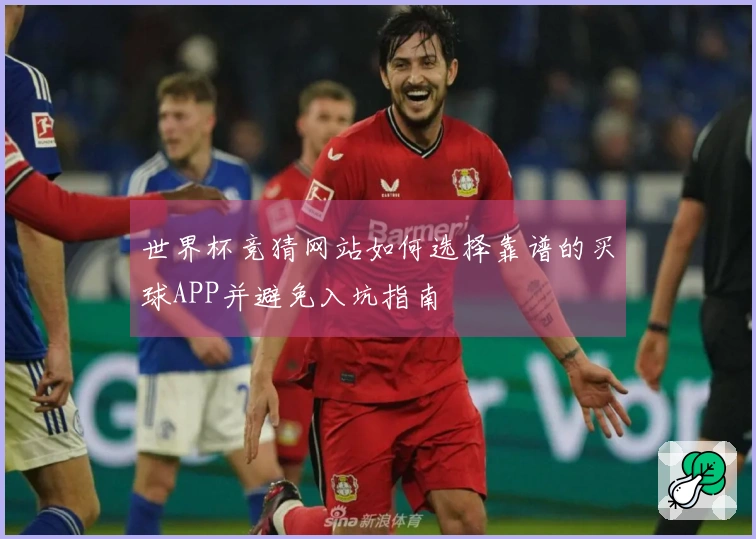 世界杯竞猜网站如何选择靠谱的买球APP并避免入坑指南