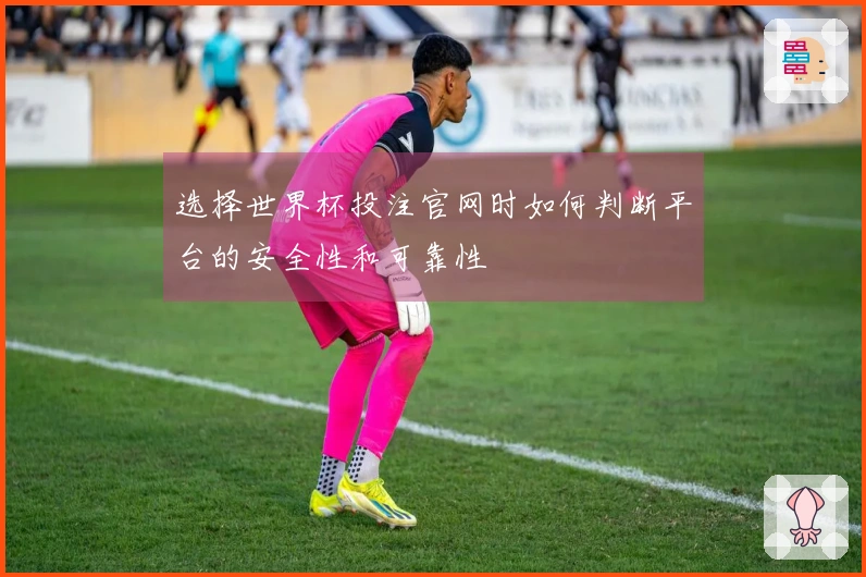 选择世界杯投注官网时如何判断平台的安全性和可靠性