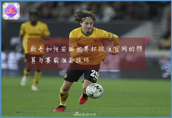 新手如何安排世界杯投注官网的预算与赛前准备技巧