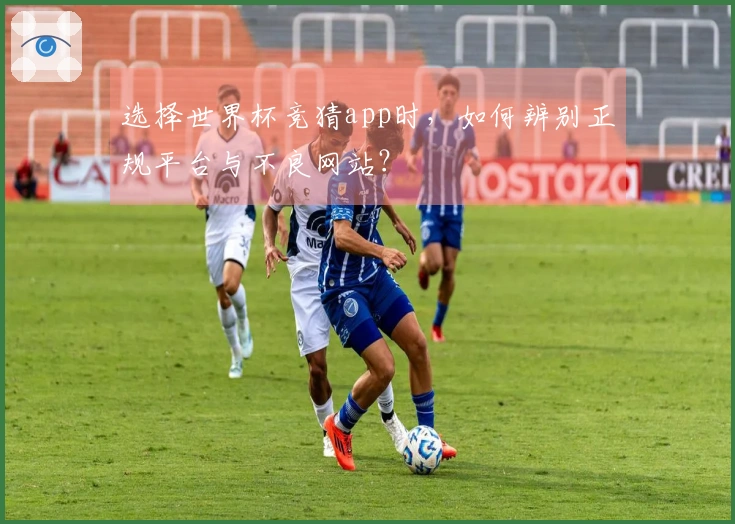 选择世界杯竞猜app时，如何辨别正规平台与不良网站？