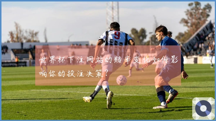 世界杯下注网站的赔率变化如何影响你的投注决策？